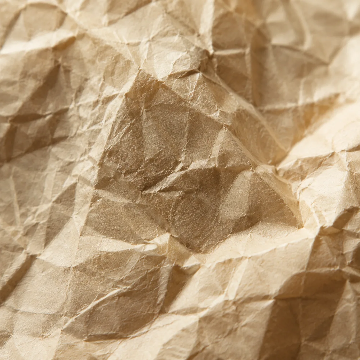 Crinkle Texture Paper surface detail