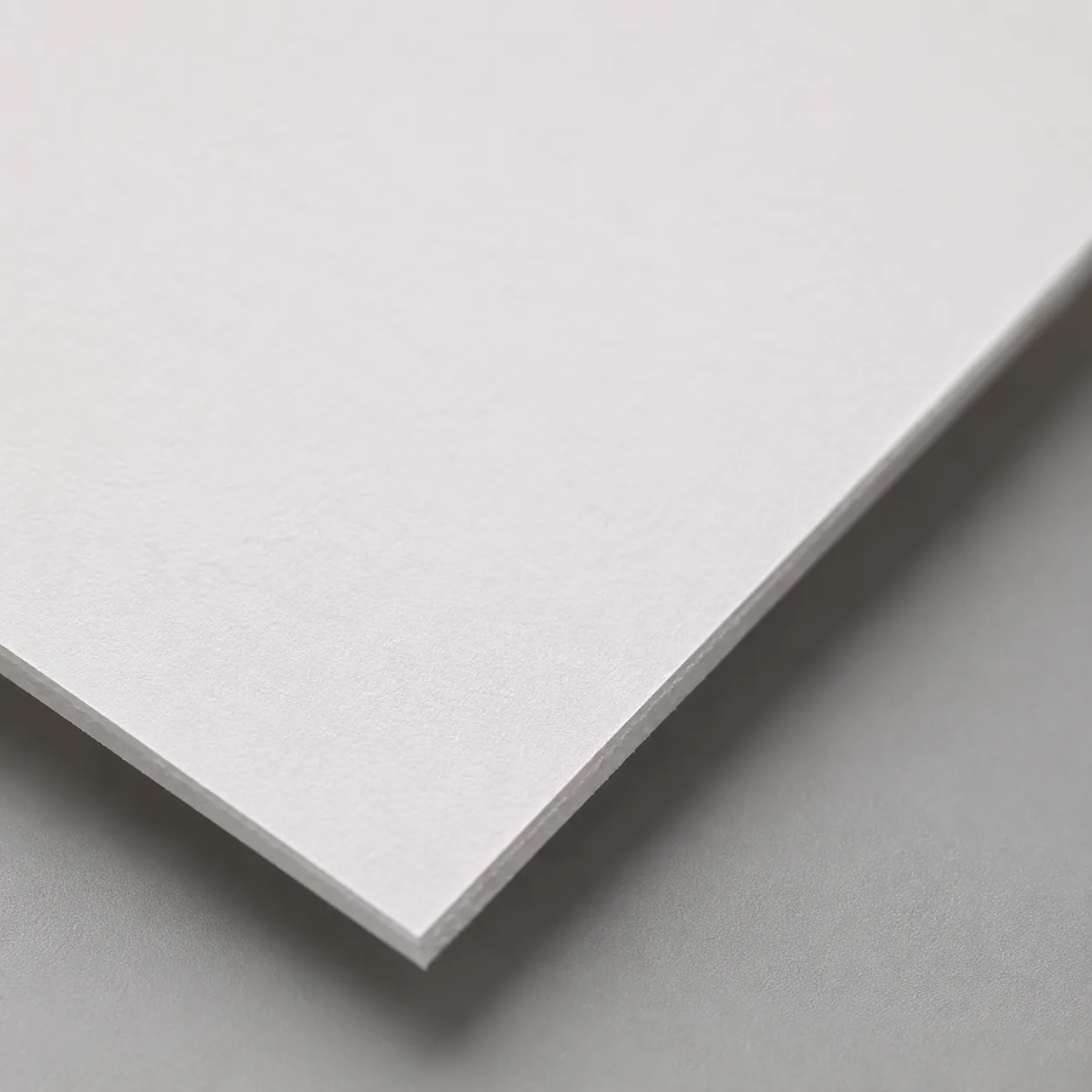 Seamless Paper Backdrop surface detail